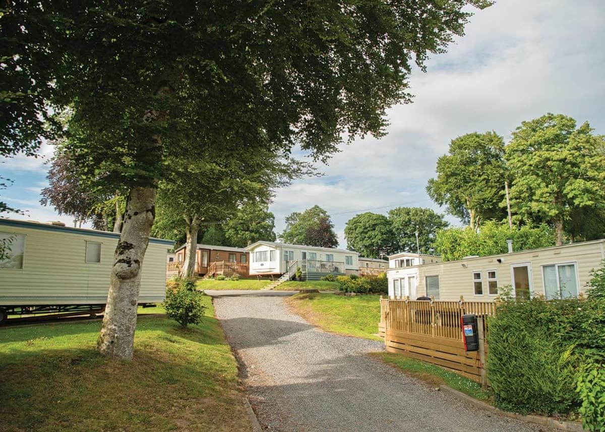 Grondre Holiday Park Clynderwen Exteriör bild
